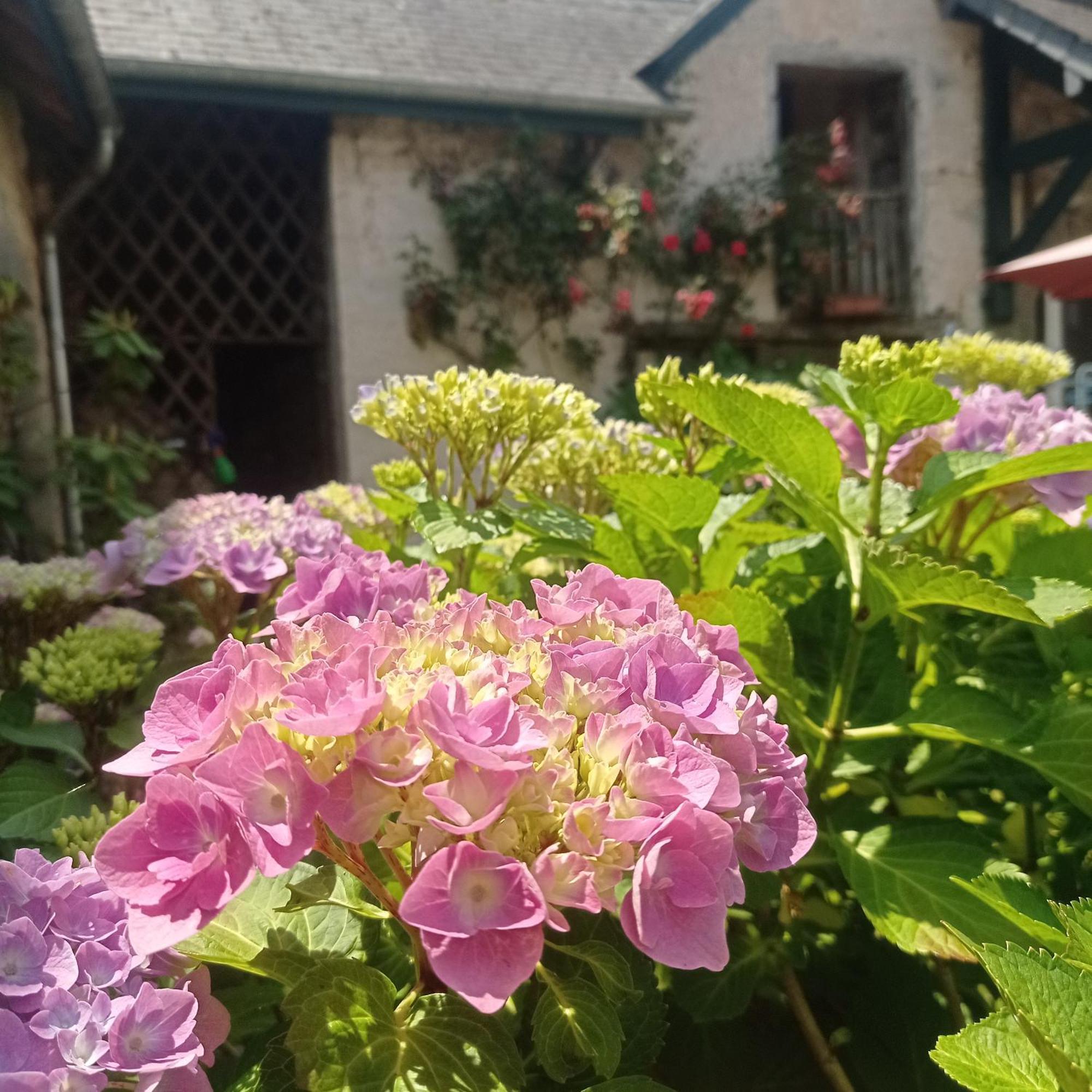 Ogeu-les-Bains Le Clos De Cinacle المظهر الخارجي الصورة